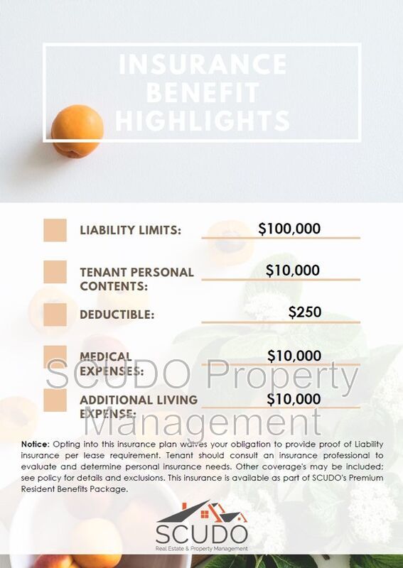 AVAILABLE SOON: Beautiful duplex in KCMO! property image